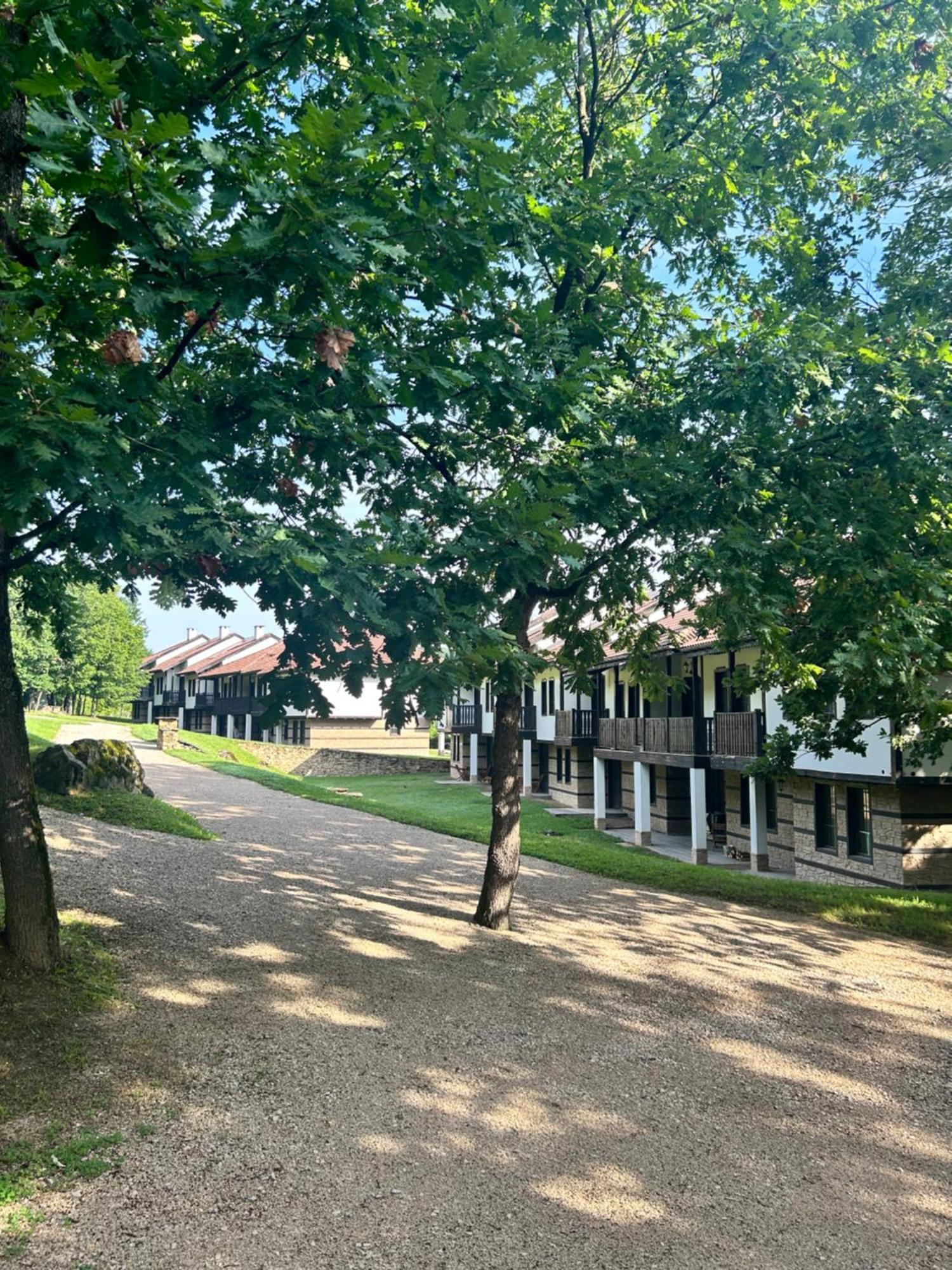 Къща За Гости Геша Вю Drjanowo Exterior foto